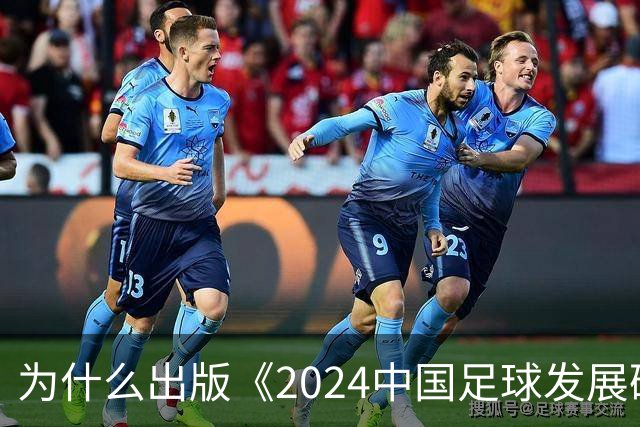 为什么出版《2024中国足球发展研讨会白皮书》？